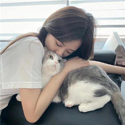 春光花月